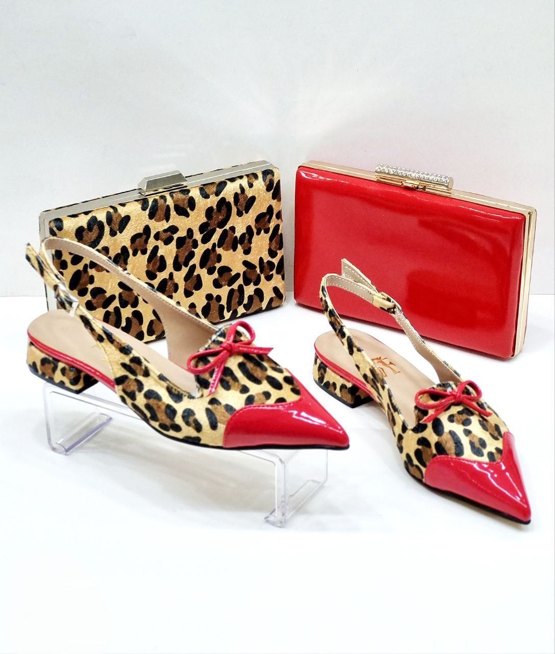 Shoes and bag set