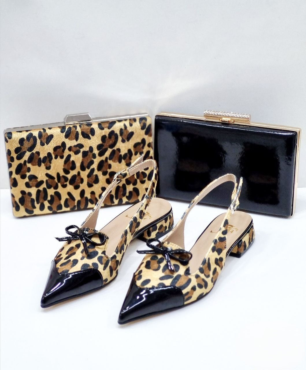 Shoes and bag set