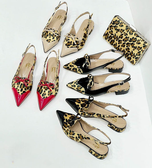 Shoes and bag set